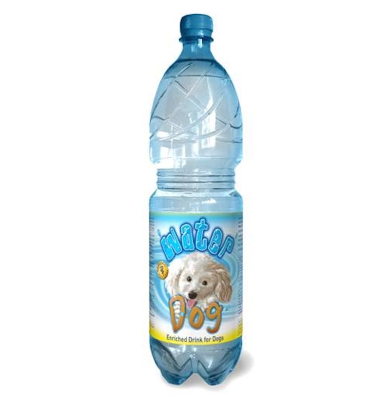 The Strange History Of Bottled Drinks Marketed To Dogs And Cats