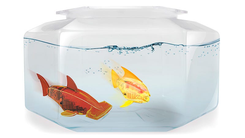 These Robot Fish Happily Respond When You Tap On The Aquarium S Glass