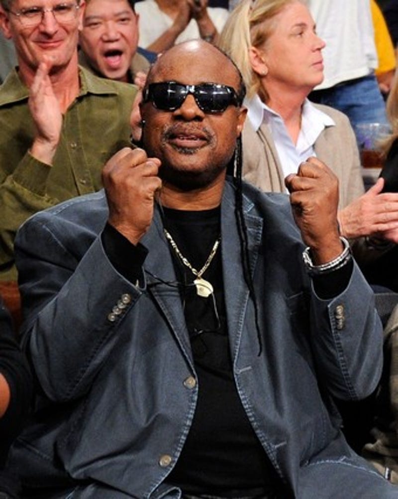 Stevie Wonder Is Not Blind The Truthers Case