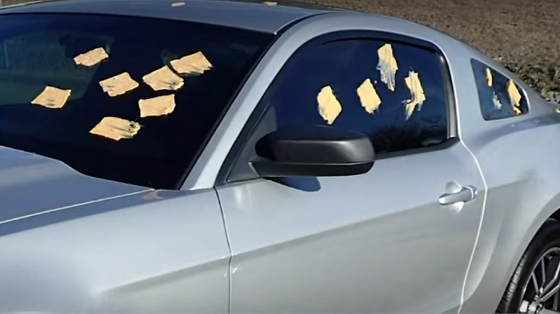 This Week On Csi Cheese Singles Investigation