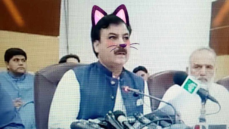 Pakistani Minister Accidentally Given Cat Ears During Press Event