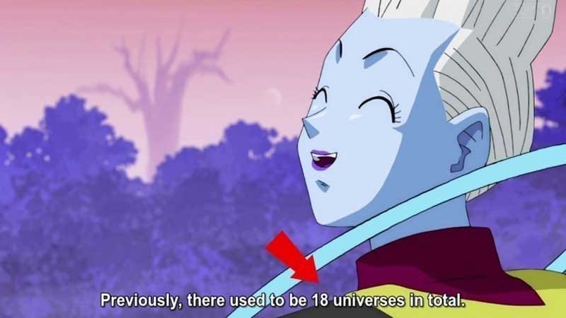 Dragon Ball Super S Multiverse Explained