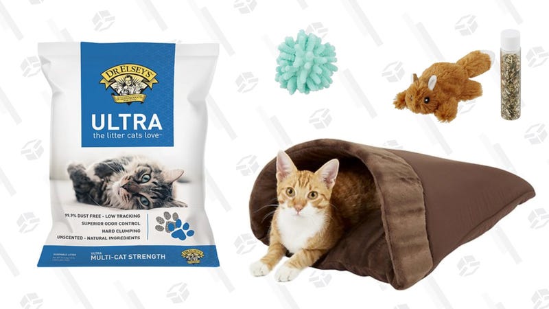 Get 20 Off Select Cat Essentials From Chewy For National Cat Day