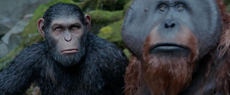 Why War For The Planet Of The Apes Ended The Way It Did And Where