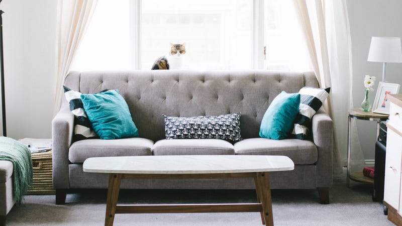 Is Baking Soda The Best Way To Clean, How To Clean Fabric Sofas At Home