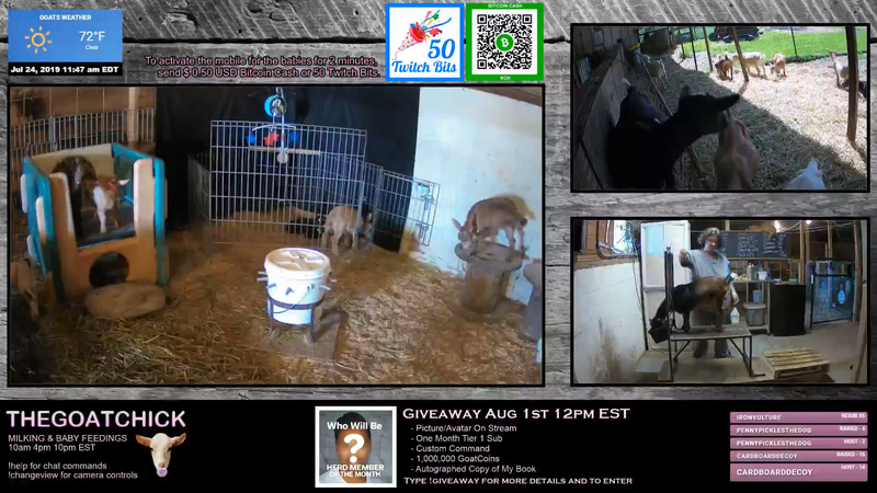 The Latest Twitch Sensation Is Chickens Goats And Bees