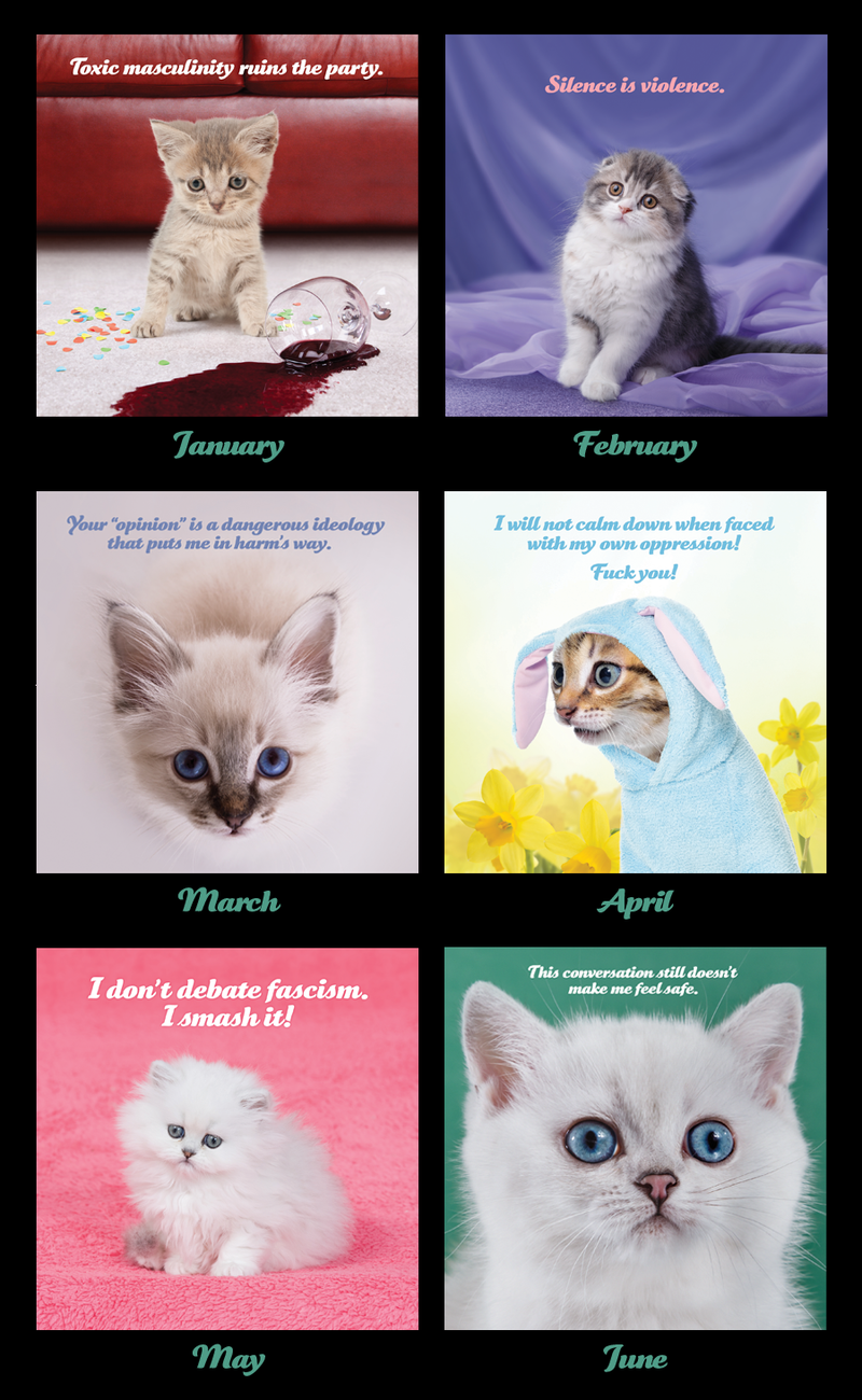 Social Justice Kittens Calendar 2018 Edition