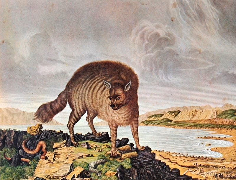 How Europeans Imagined Exotic Animals Centuries Ago Based On Hearsay