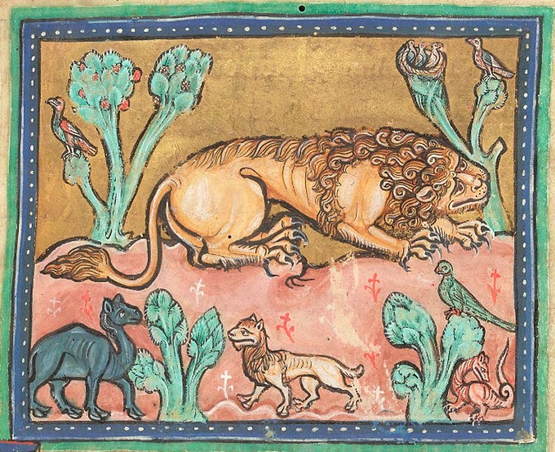 How Europeans Imagined Exotic Animals Centuries Ago Based On Hearsay