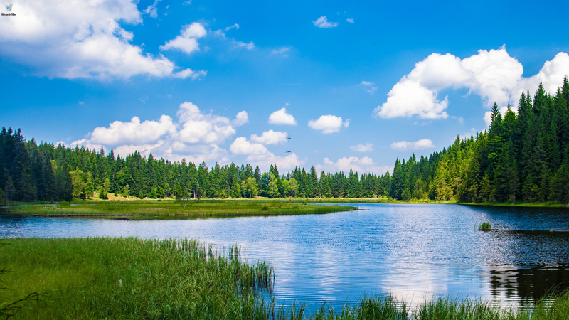 Chameleon Can Change Your Wallpaper Based On The Weather