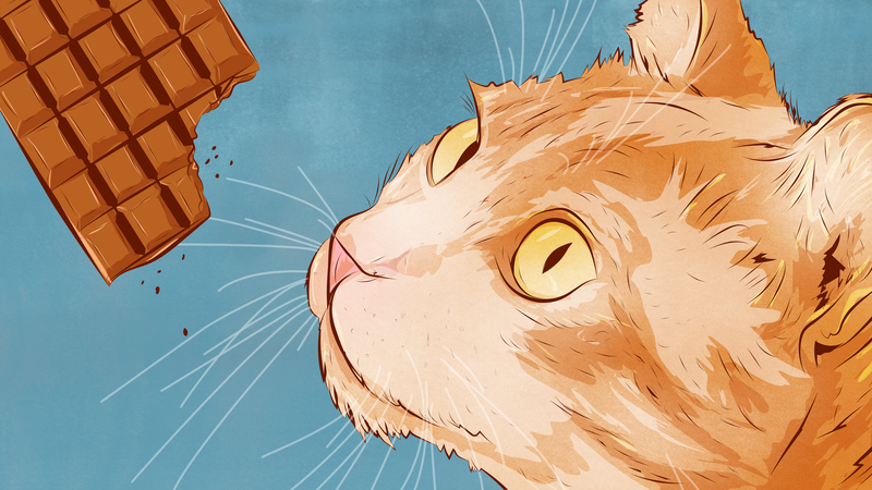 The Things That Are Most Dangerous For Cats To Eat And Why