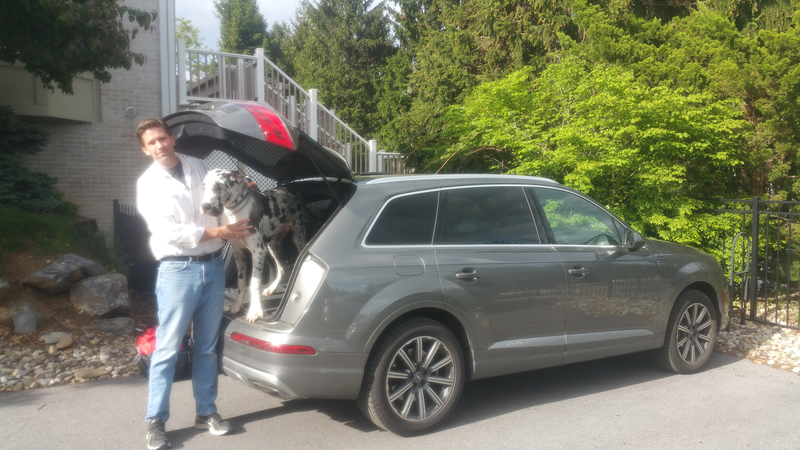 jalopnik what car should i buy quiz