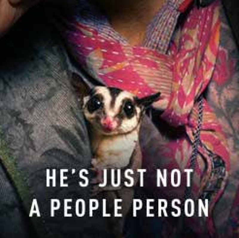Let S Rank The Animals Of Robert Downey Jr S Dolittle Poster And Trailer