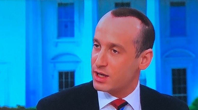 Stephen Miller S Hairline Make Surprise Appearance Of Face The Nation