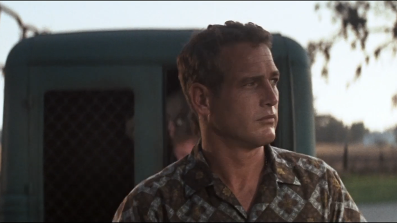 What To Watch On Netflix The Best Movies Available April 2021