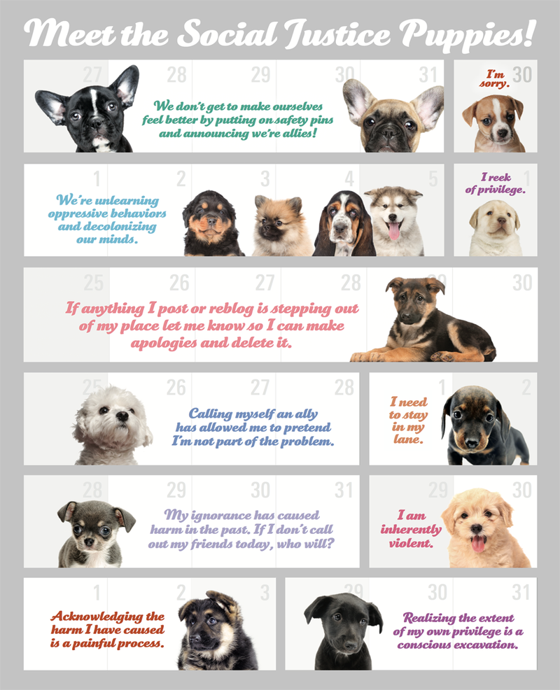 Social Justice Kittens Calendar 2018 Edition