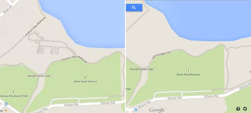 Some Crazy Genius Hid A Cat In Google Maps