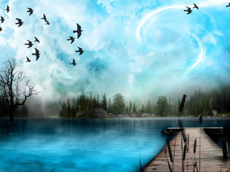Colors Of Nature Screensaver Animated Wallpaper