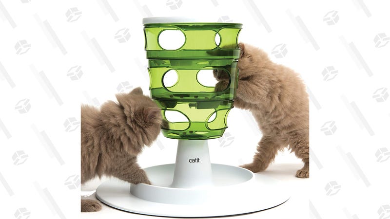 Five Slow Cat Feeders To Try If Your Furry Friend Keeps Throwing Up