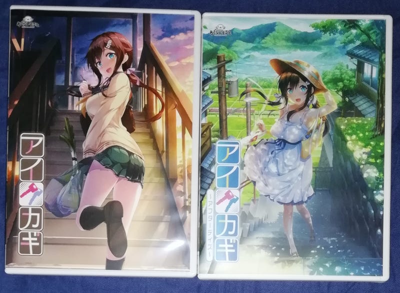 My Thoughts On Aikagi Aikagi After Days Vn