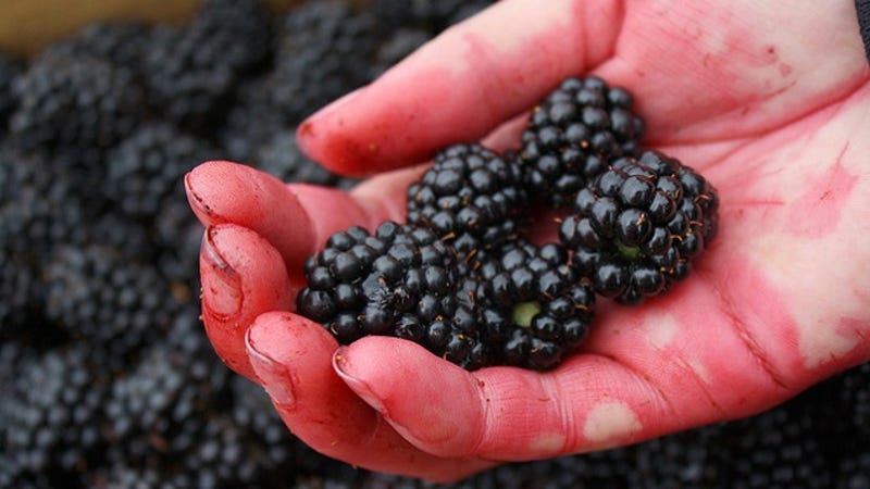 Remove Berry Stains From Your Hands With Lemon Juice