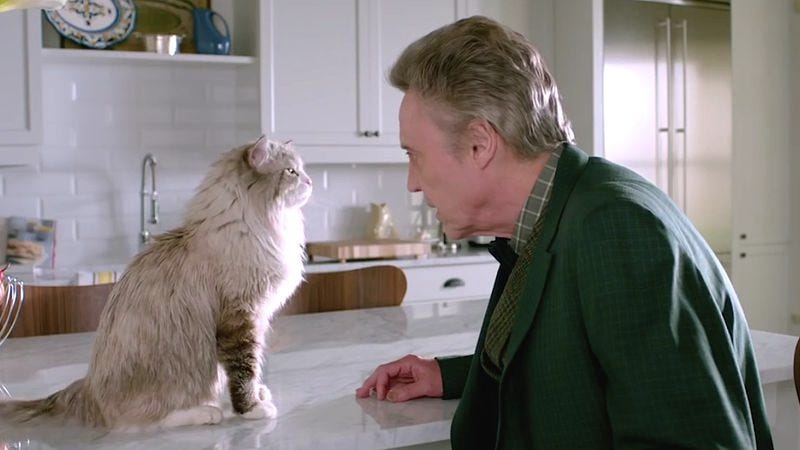A Talking Cat Case File 77 Nine Lives