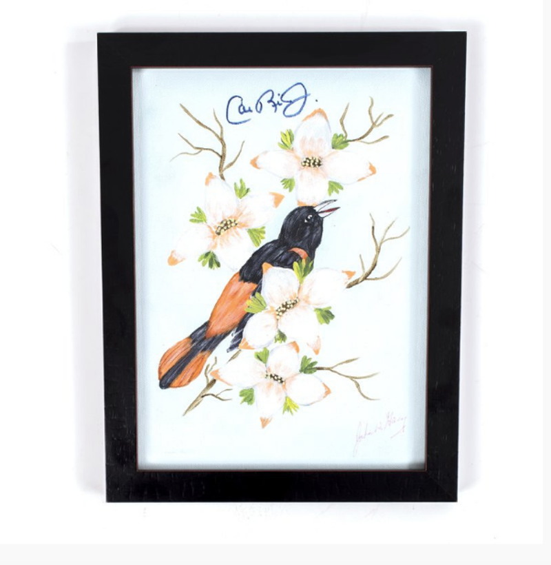 Did Cal Ripken Jr Sign This Painting Of An Oriole By John Wayne Gacy