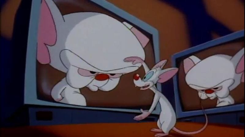 Animaniacs La La Law Cat On A Hot Steel Beam Space Probed