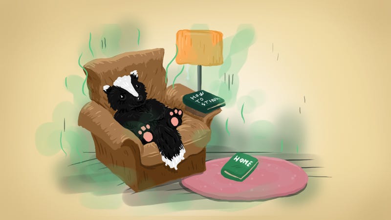 Why Your Home Stinks And How To Fix It