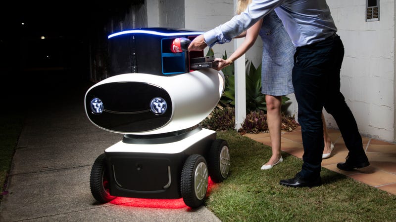 Domino S Is Testing An Adorable Pizza Delivery Robot