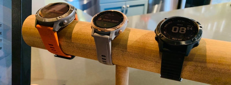 garmin fenix 5 zap