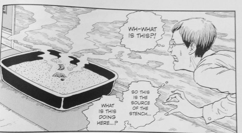 Junji Ito S Cat Diary Yon Mu Manga Review