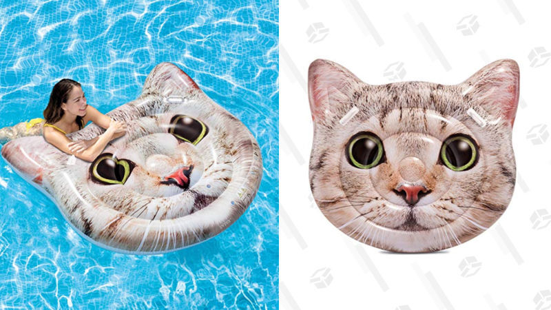intex cat float