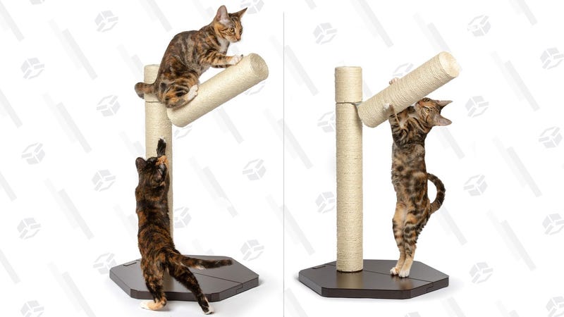 Your Cat Can Branch Out With This Discounted Petfusion Scratching Post