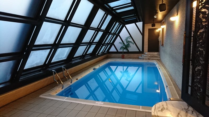 The Most Infamous Swimming Pool in Japanese Pornography