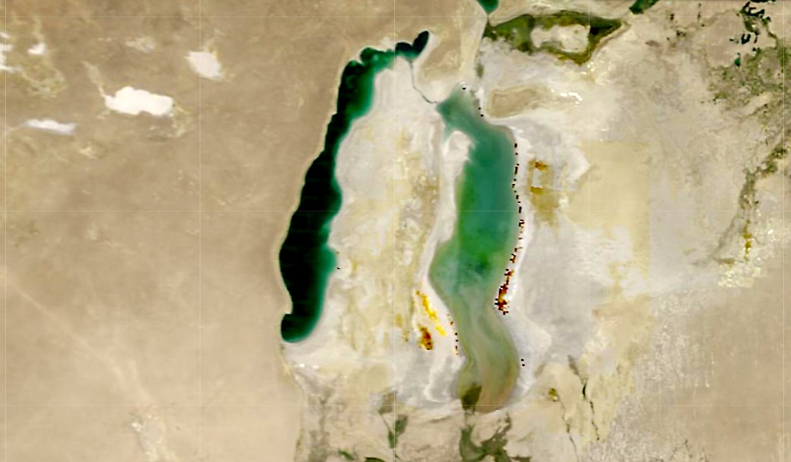 Landsat imagery shows the Aral Sea in July 2010 with water in its eastern lobe.