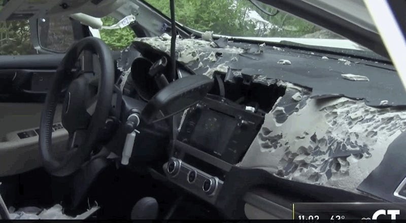 Bear Rips Car Apart Because That S What Bears Do When People Don T Lock Their Cars