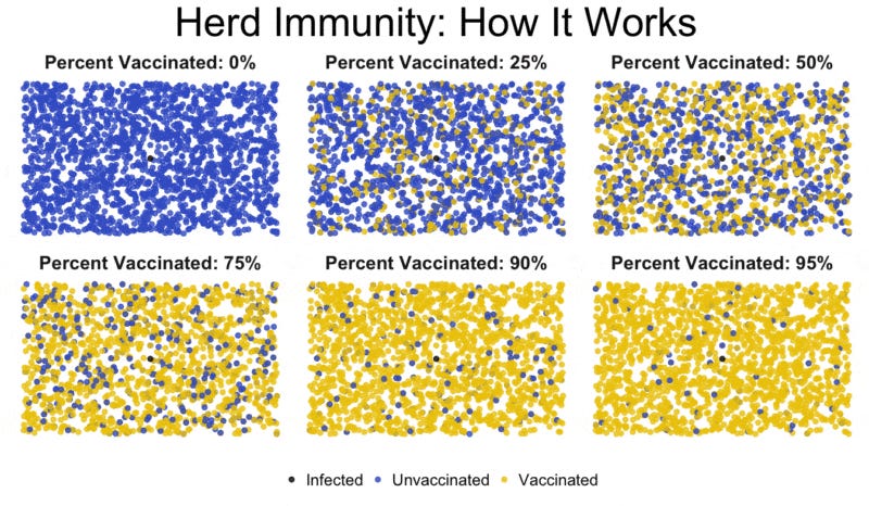 Cómo funciona la inmunidad de rebaño y por qué no es una excusa ...