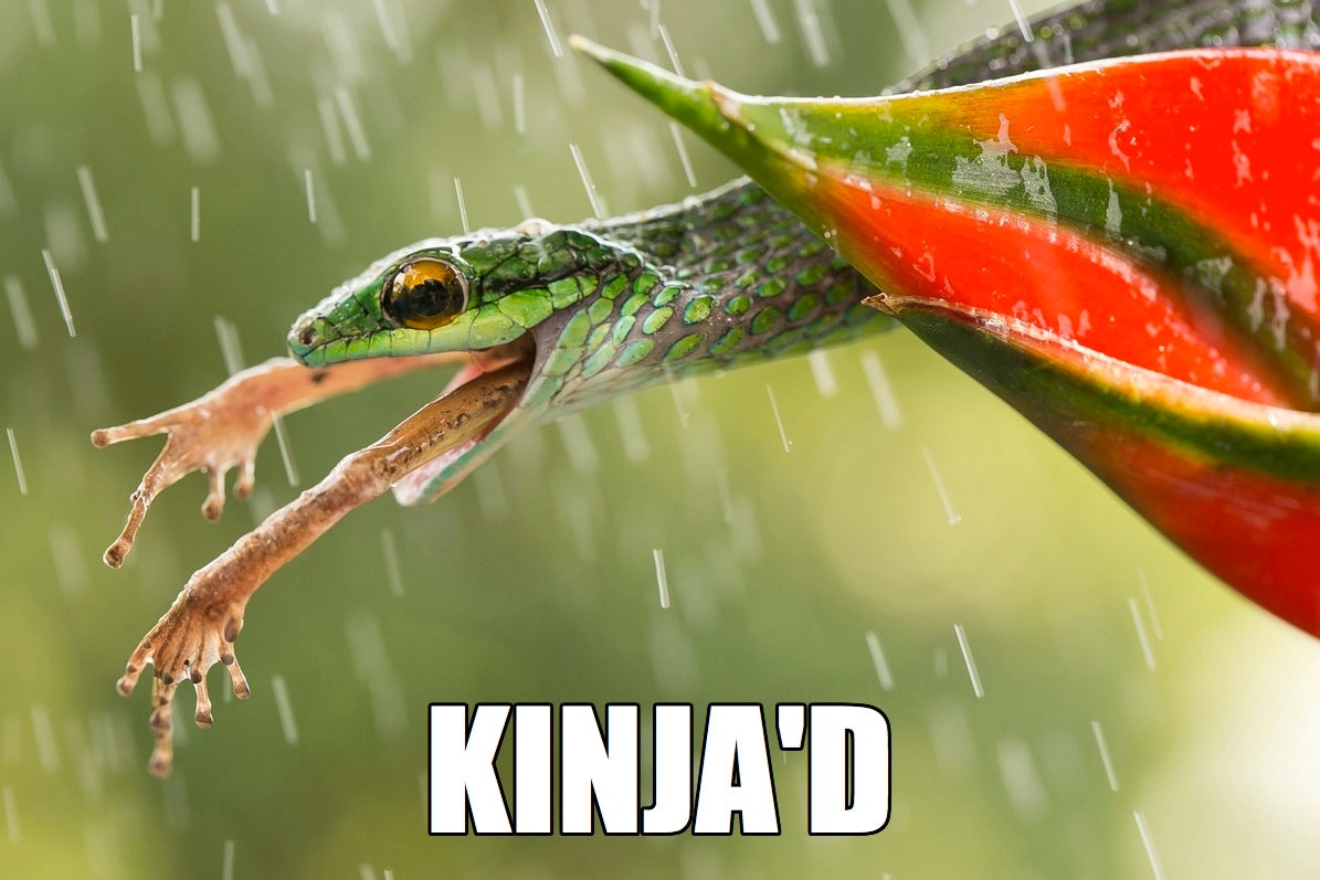 Kinja'd!!!