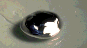 l9u6hebevar5kqyg1vji.gif