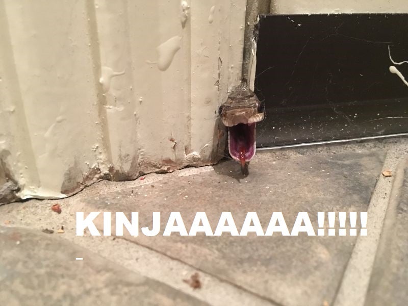 Kinja'd!!!