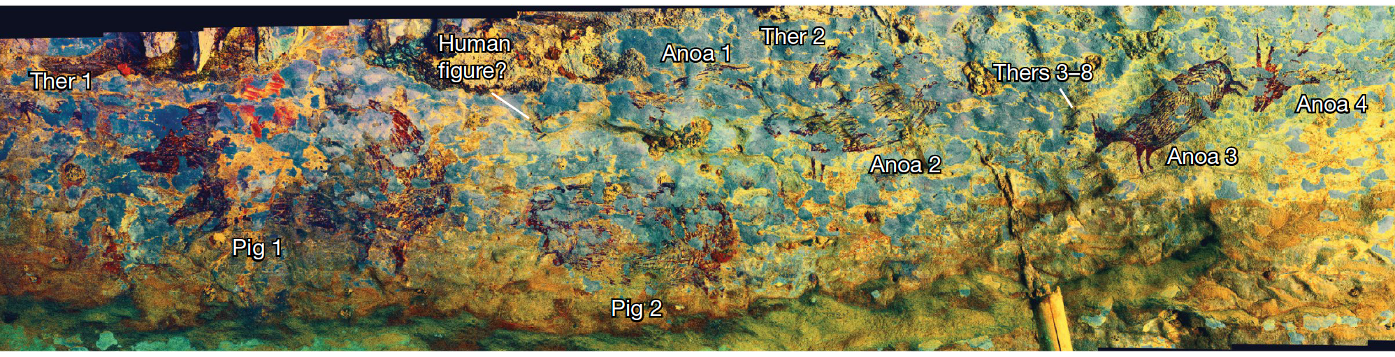 44 000 Year Old Cave Painting Could Be The Earliest Known Depiction Of   Nsylx1alpwev5zcviy4i 