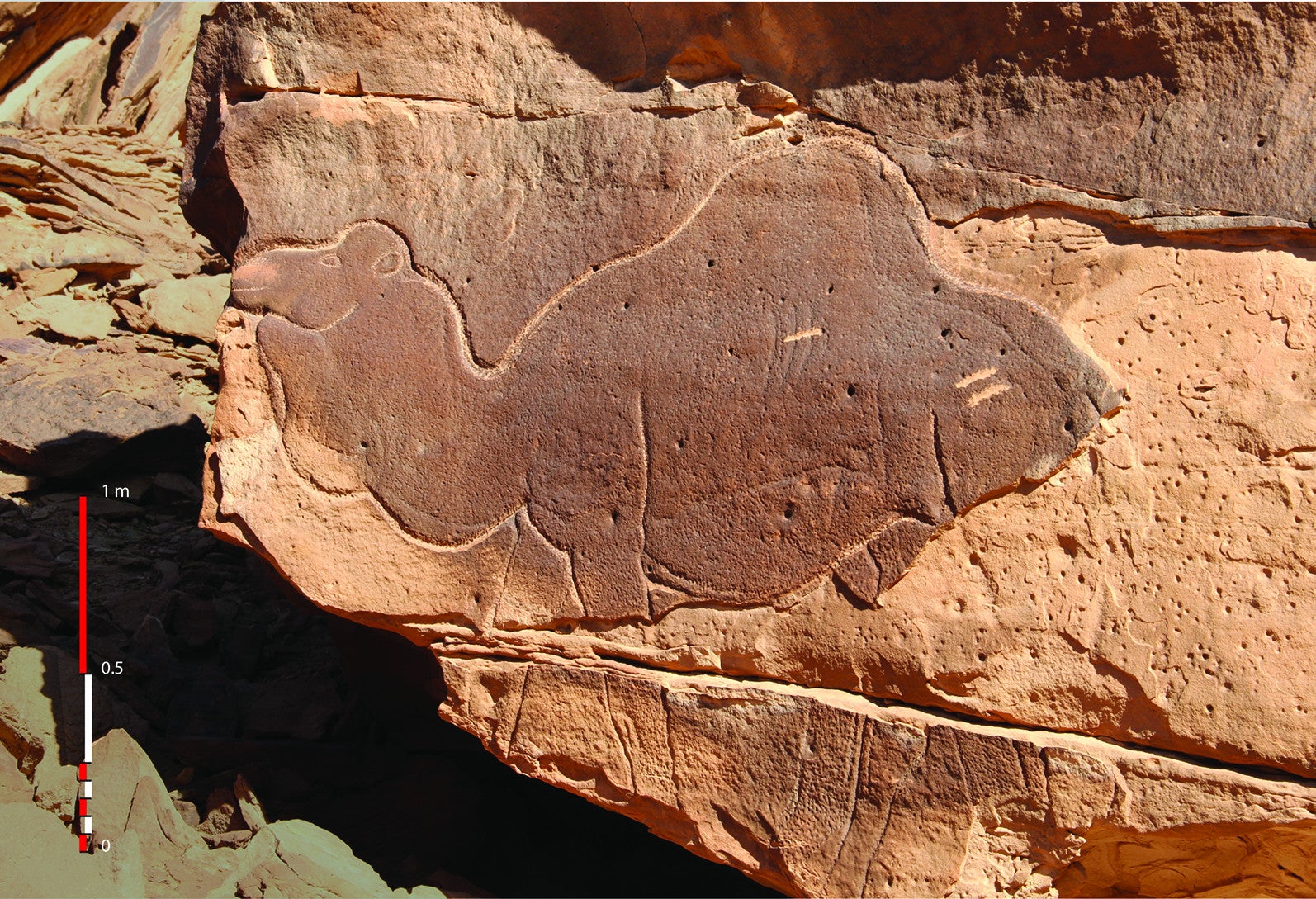 Amazing Life-Sized Sculptures of Camels and Horses Discovered in Saudi