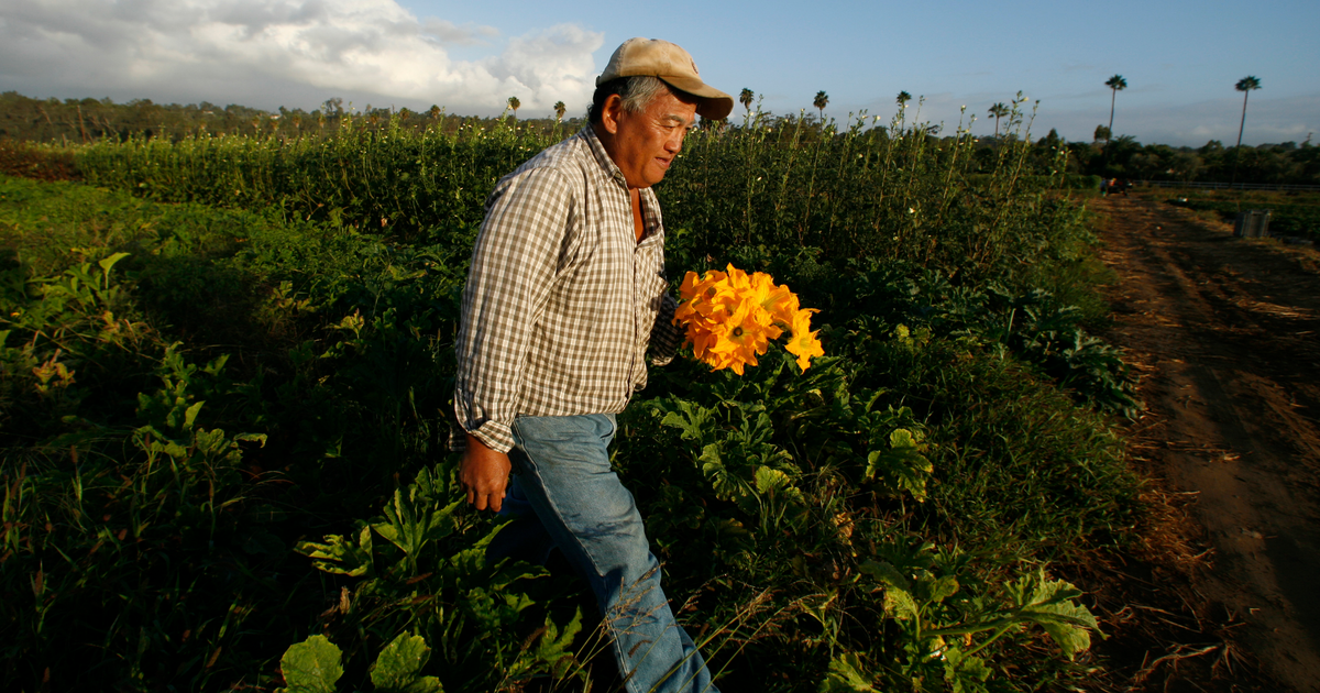 Sustainability is the wrong goal for businesses that care about climate change