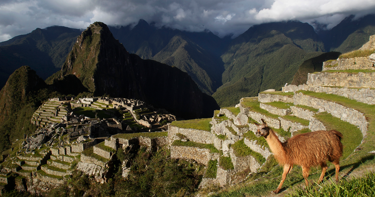 Llama poop eating mites record the Inca's rise and fall — Quartz