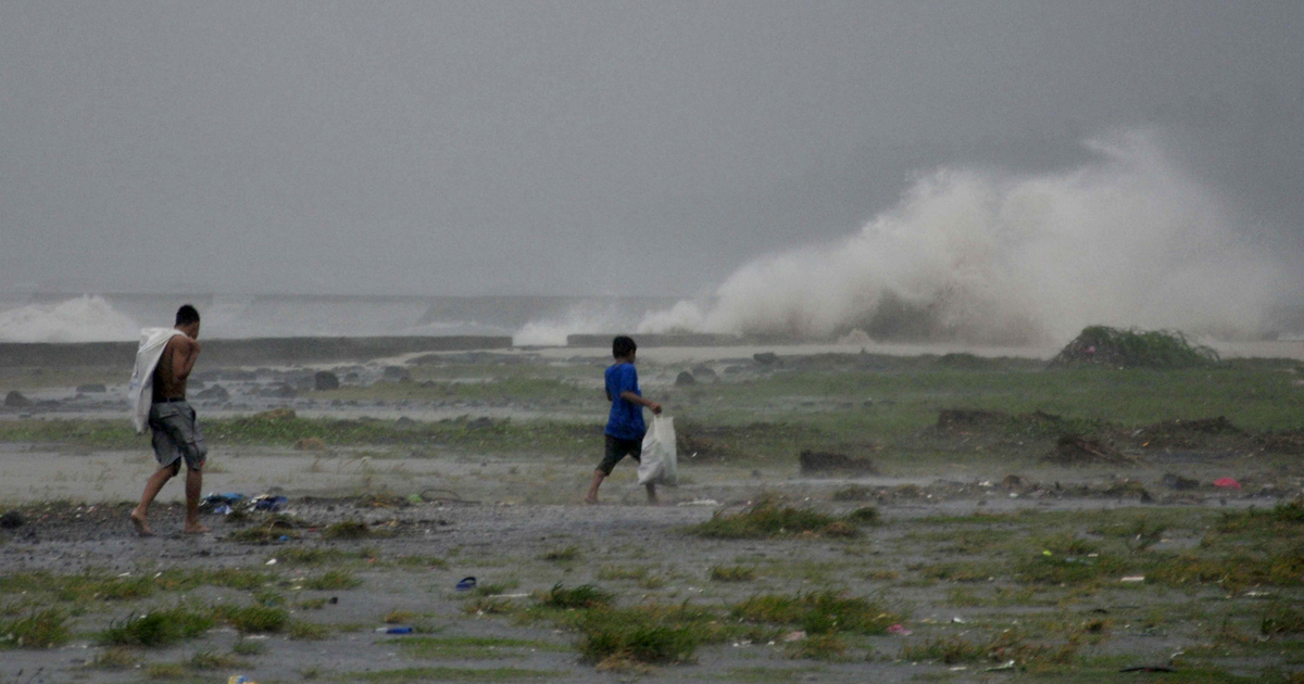 Forget concrete—the way to block tsunamis is these spindly trees — Quartz