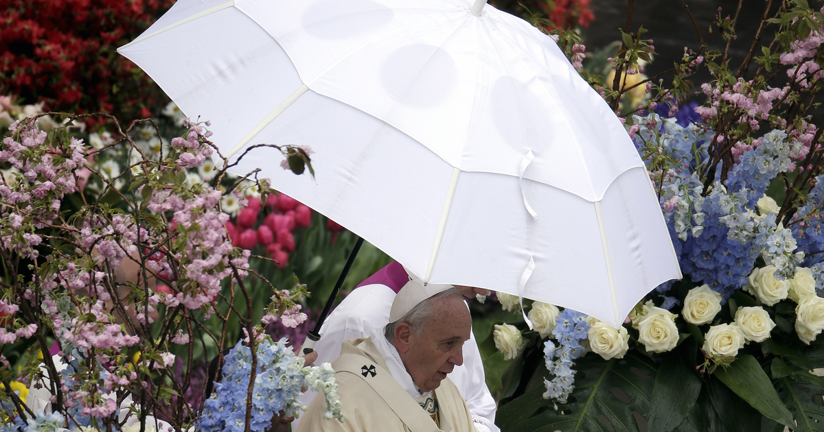 Pope Francis Is A Powerful Messenger For Climate Change — Quartz