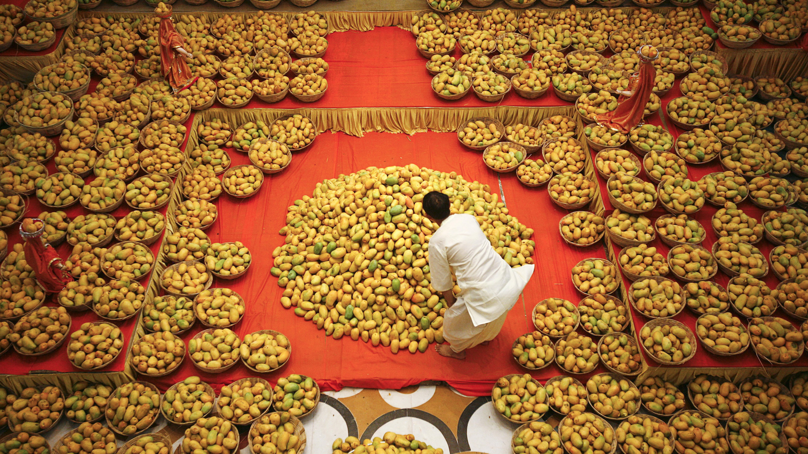 The Bittersweet Tale Of The New Exciting Seedless Mango Quartz India