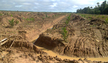 Waste sludge on deforested land, Colombia, 2014.