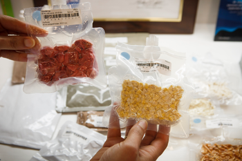 strawberries and corn for space food